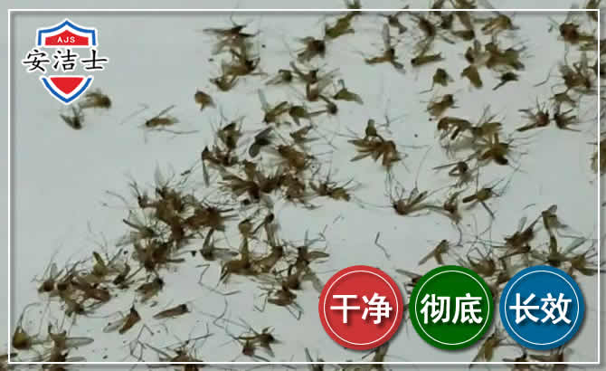 余姚苍蝇防治-灭蝇