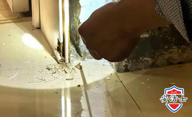 余姚房屋建筑防治白蚁